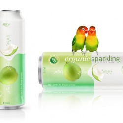 Organic Sparkling Coconut water 500ml from RITA US