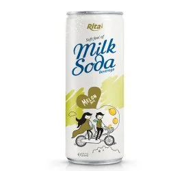Soda Milk melon 250ml from RITA US