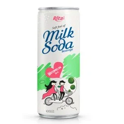 Soda Milk 250ml watermelon from RITA US