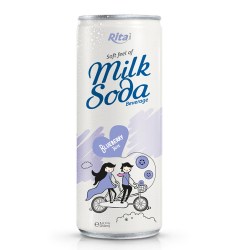 Soda Milk blueberry  250ml from RITA US
