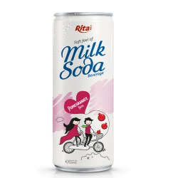 Soda Milk pomegranate 250ml from RITA US