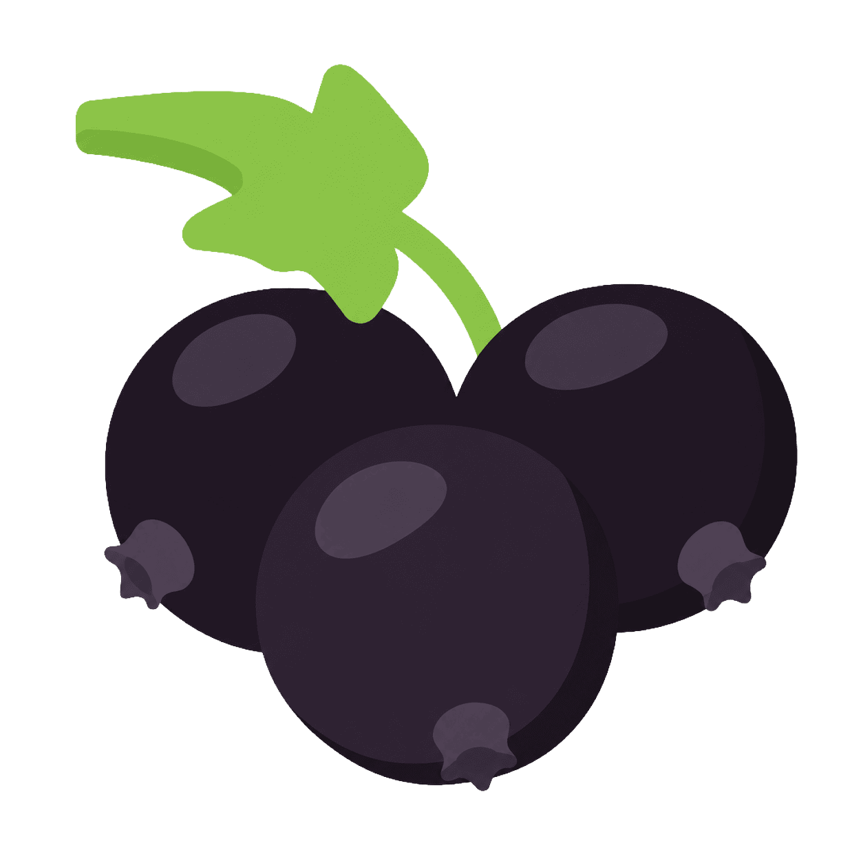 Blackcurrant