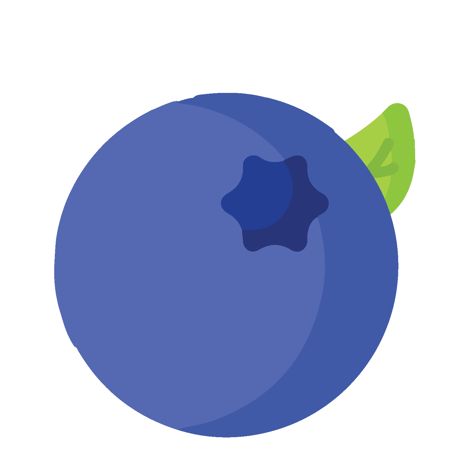 Blueberry