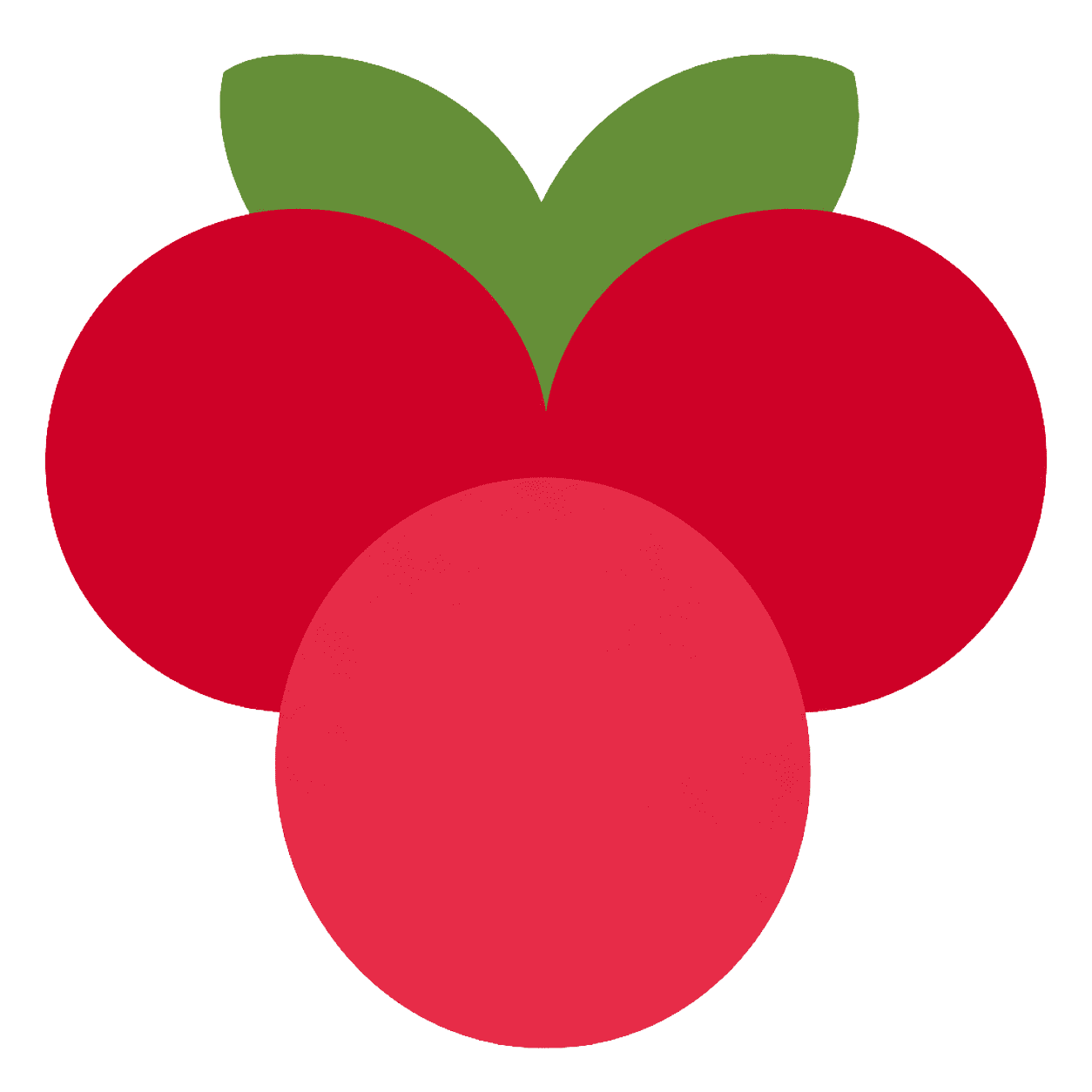 Cranberry
