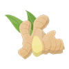 Ginger