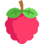 Raspberry