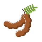 Tamarind