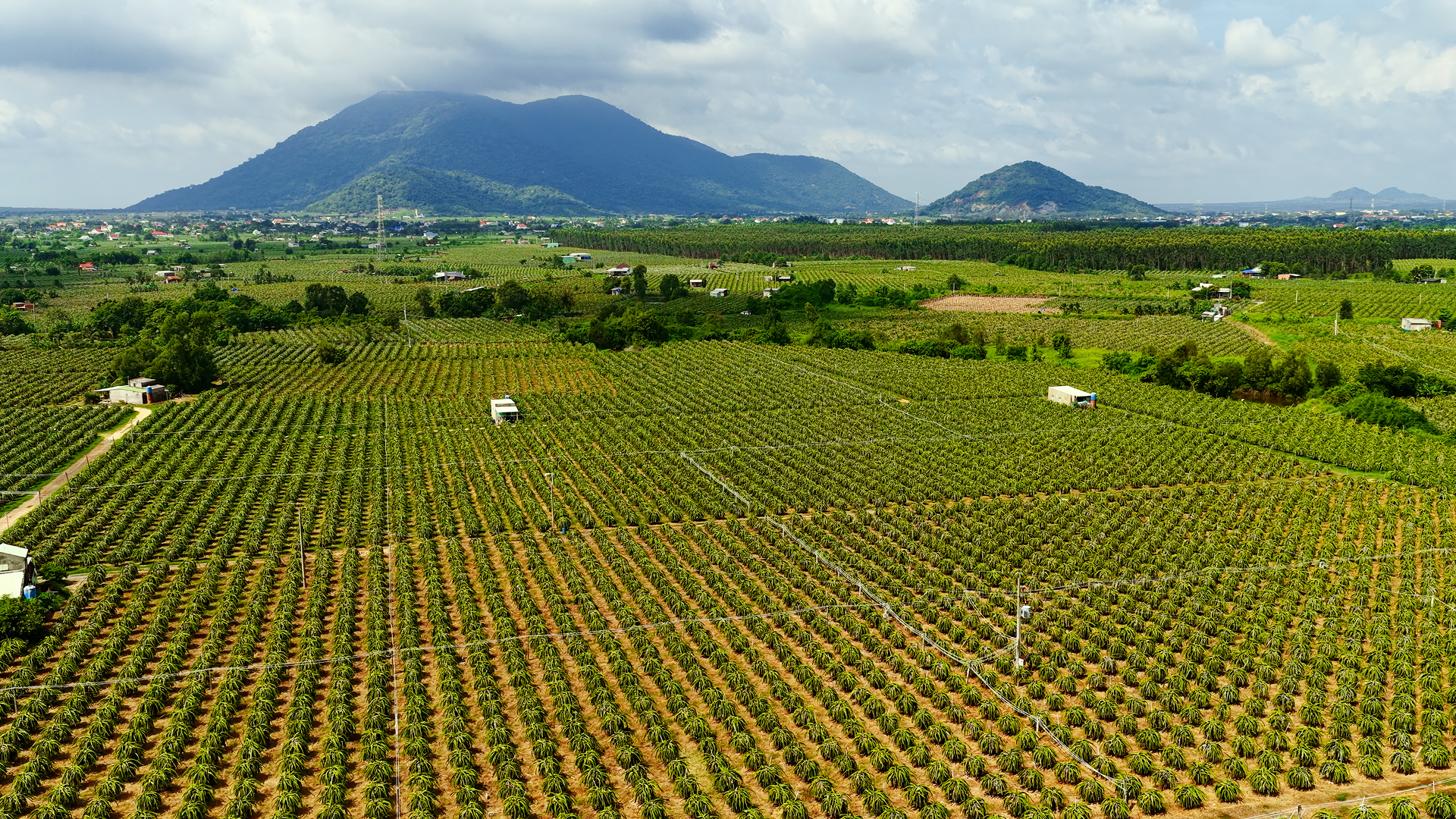 RITA farm